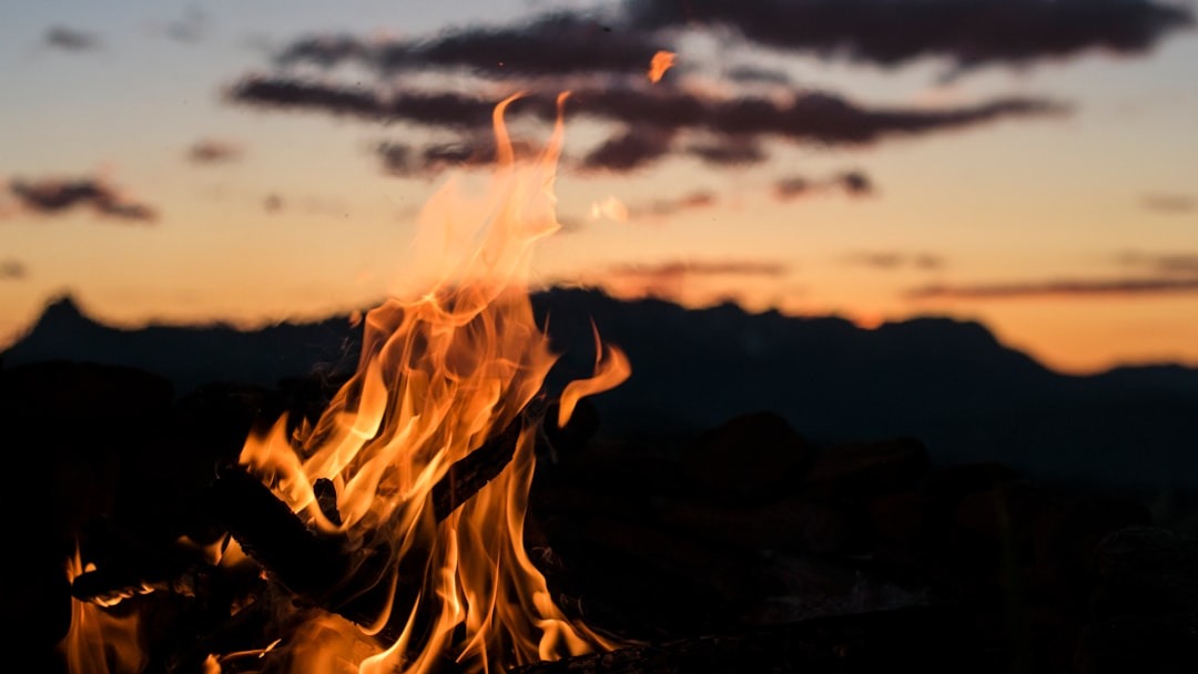 Burnout Solved: The Energy Management System Every Solopreneur Needs